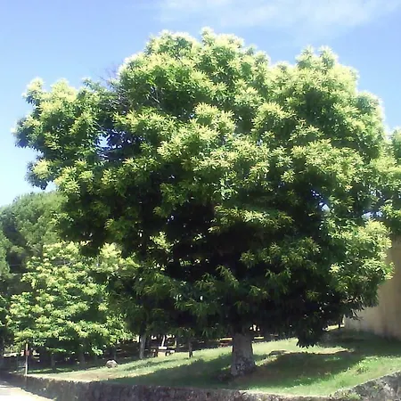La Escuela Béjar
