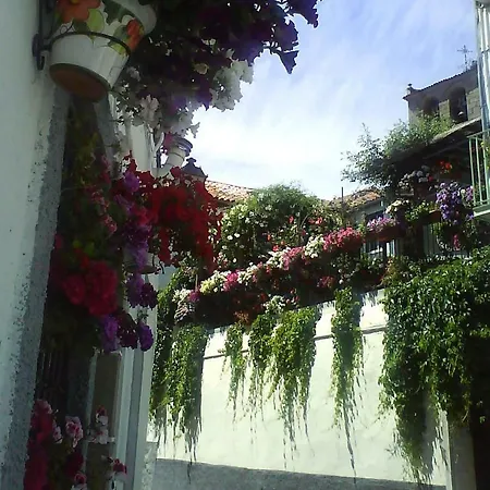 La Escuela *